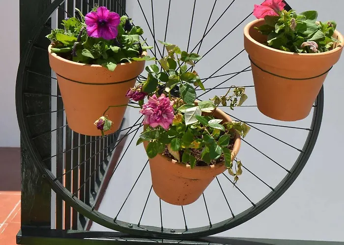 샌 프란시스코 호텔 론다